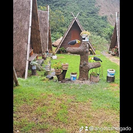 Cabanas Andinas De Noe Chaullay Santa Teresa  Luaran gambar
