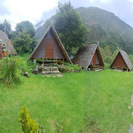 Cabanas Andinas De Noe Chaullay Santa Teresa  Luaran gambar