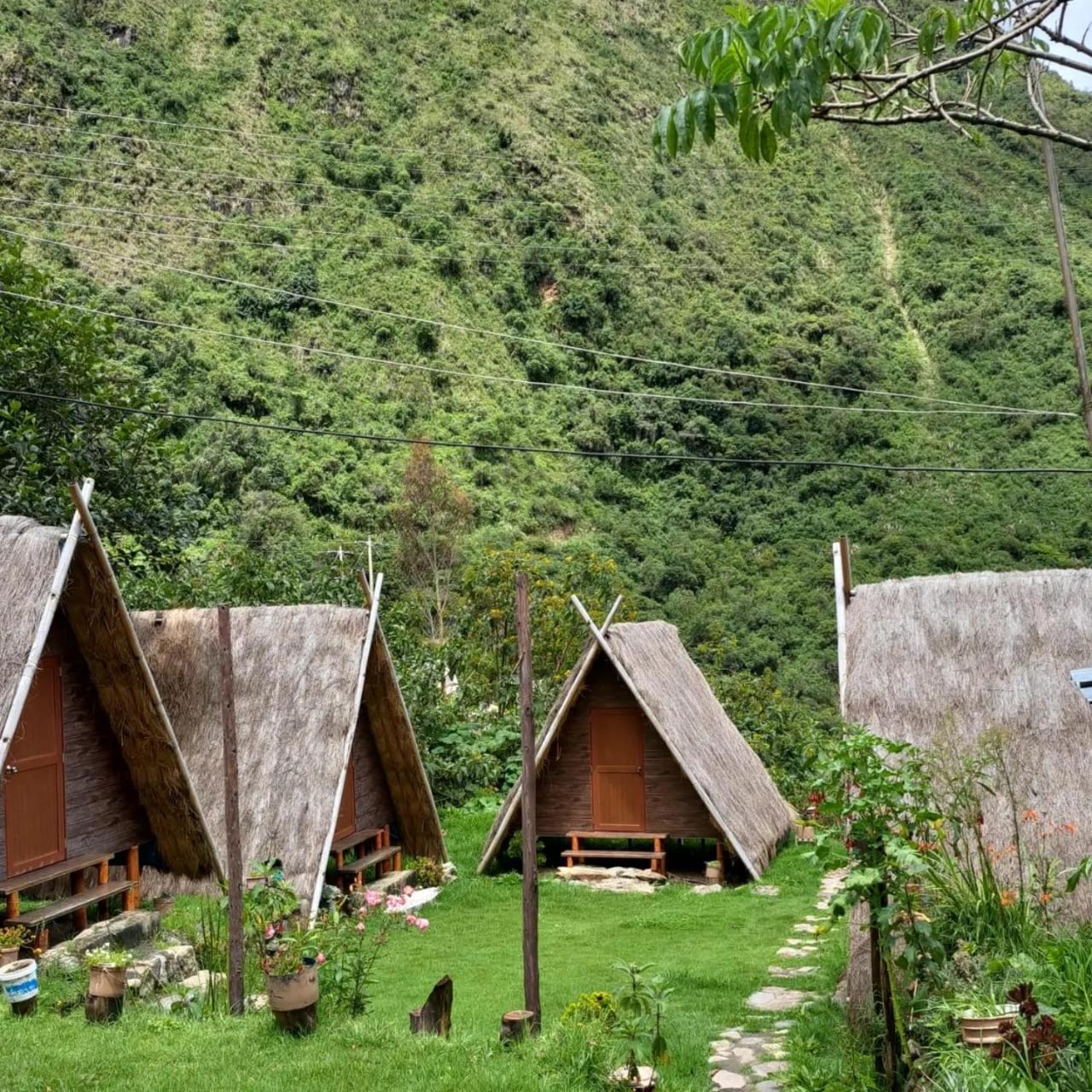 Cabanas Andinas De Noe Chaullay Santa Teresa  Luaran gambar